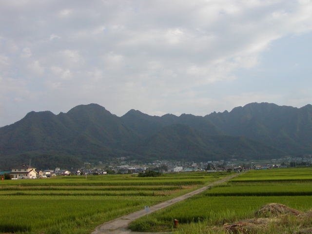 bd88f6fe.jpg