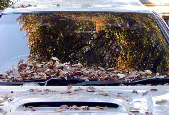 c3211da9.jpg