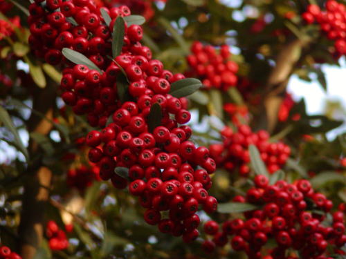 c7c6f612.jpg