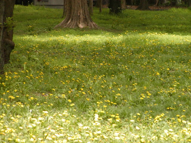 c94a7785.jpg