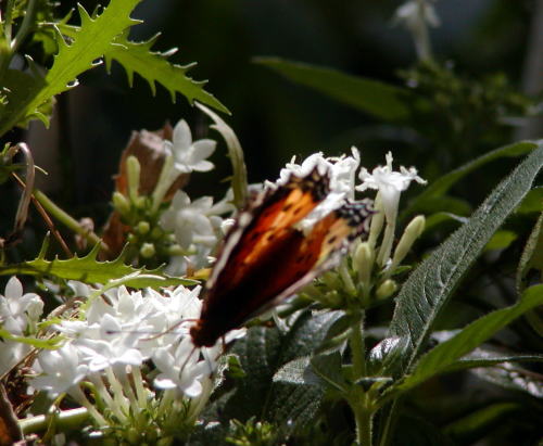 d6a8c748.jpg