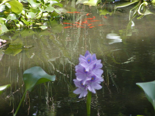 e26d13e5.jpg