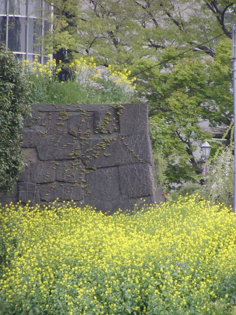eb295b15.jpg