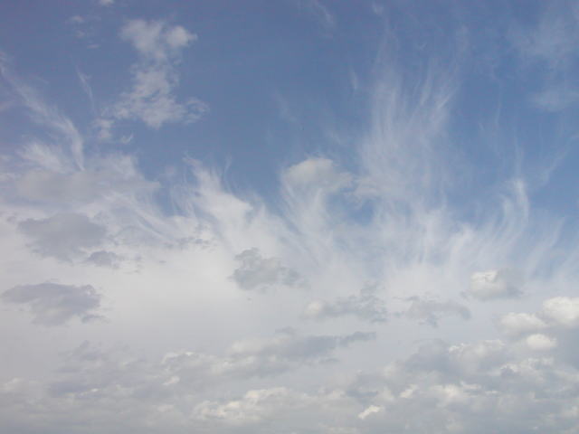 ed90806b.jpg