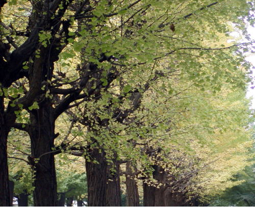 f08eec6b.jpg