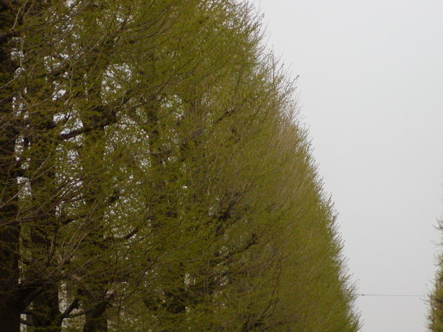 f1a8c36d.jpg