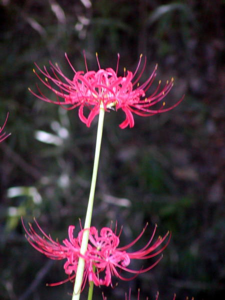 f3475e5d.jpg