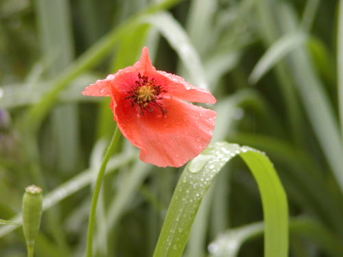 f477fce3.jpg