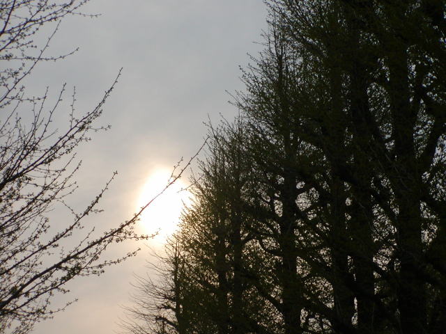 f761d688.jpg