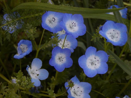 fce669a0.jpg