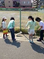 写真 (8)