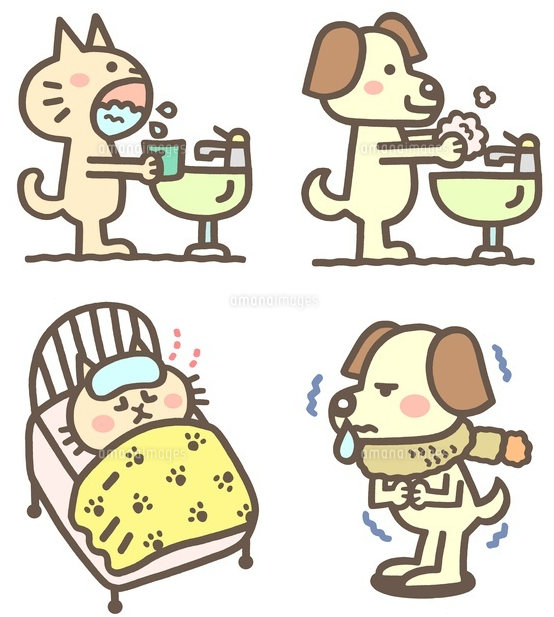 キャプチャ
