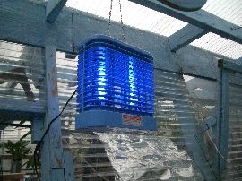 20060626-CIMG0199