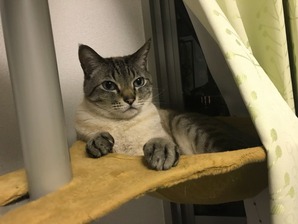 IMG_4014