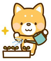 dog-4