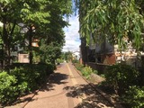 2017.06.08北沢川緑道01