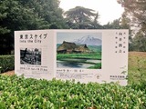IMG_7339 (400x300)