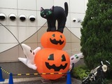 梅ヶ丘キャッツハロウィン01