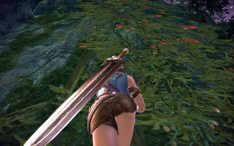 TERA_ScreenShot_20111009_190410
