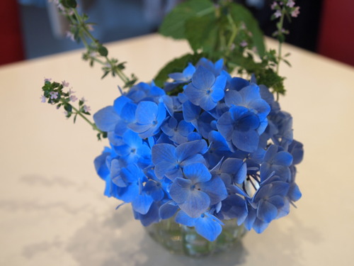 P1014163