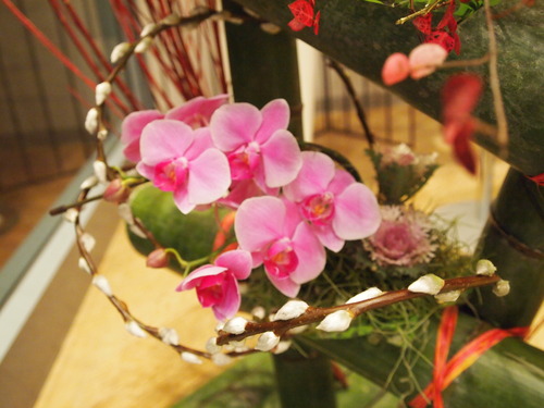P1019164