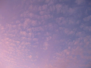 wheel of fortune¡ÁÅ·»È¤È²á¤´¤¹»þ´Ö¡Á
