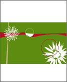 グレース12*