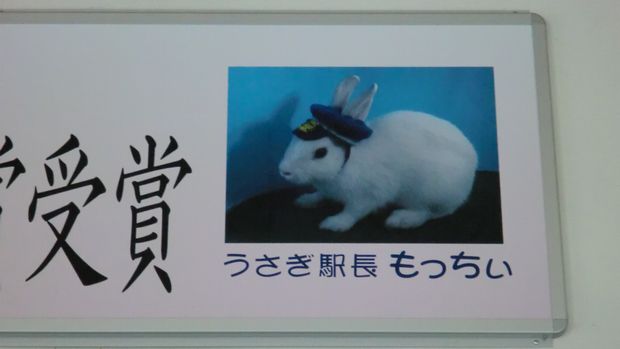 CIMG0118