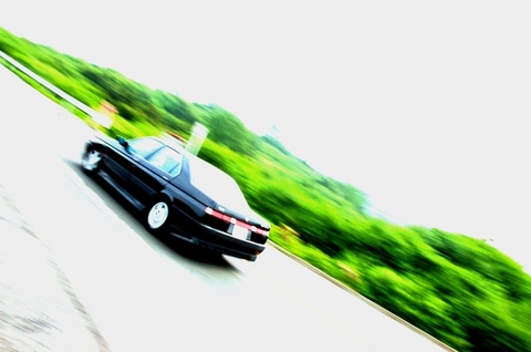 DSC_6144a
