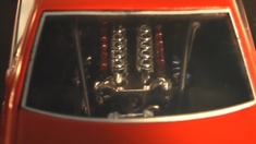 IMGA0595