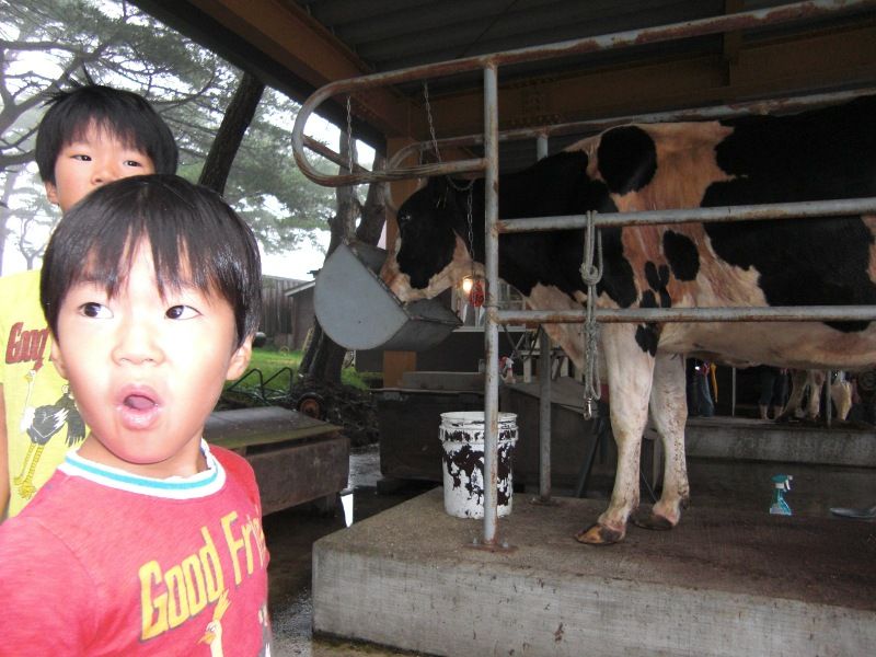 温泉・旅行 : 山形さくらんぼblog