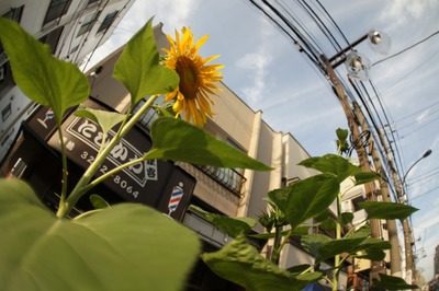 sony_nex-3_zenitar_16mm