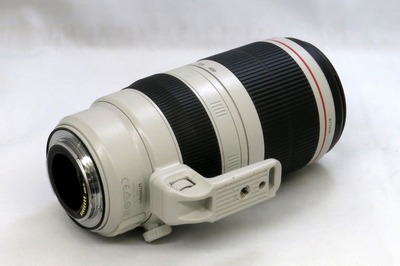 canon_ef_100-400mm_is_ii_usm_b