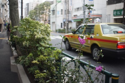 mir-1b_37mm-sony_nex-3