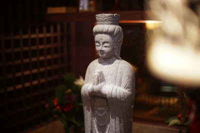 ricoh_xr_rikenon_p_55mm_pk-sony_a7