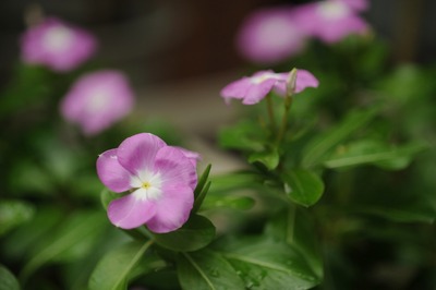 tamron_90mm_52b-nikon_d700