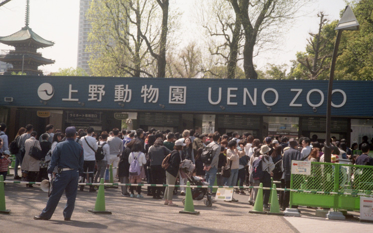 uenozoo
