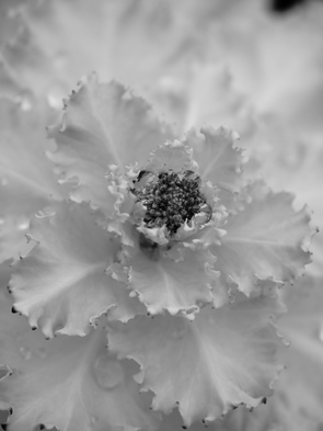 P3063850