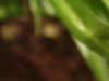 iso320