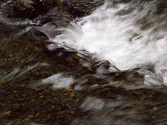 P4270033
