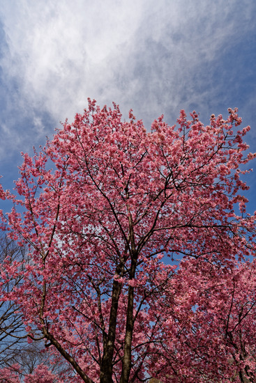 _DSC2802_DxO