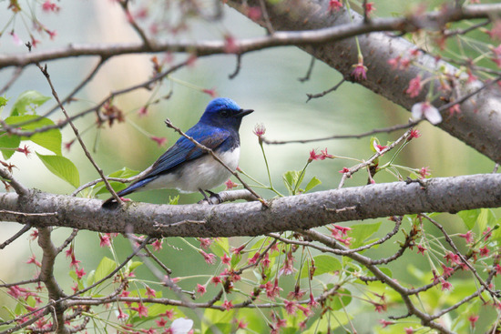 DSC_4475_DxO