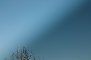 SDIM0726