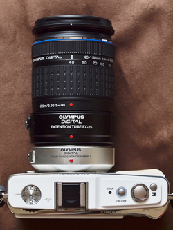 P9056779