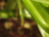 iso2000