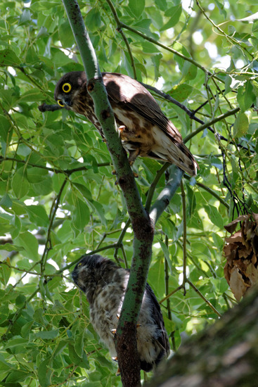 _DSC2469_DxO
