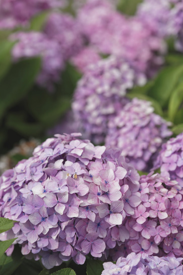 _DSC6256_DxO