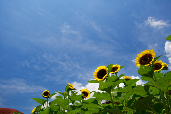 _DSC2689_DxO