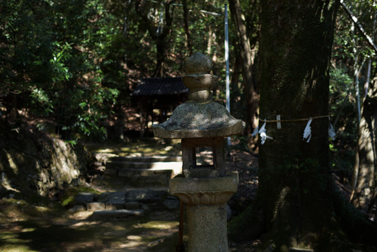 _3030151_DxO