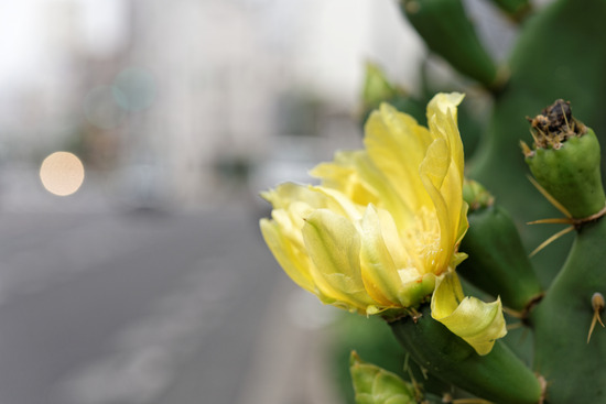 _DSC0846_DxO